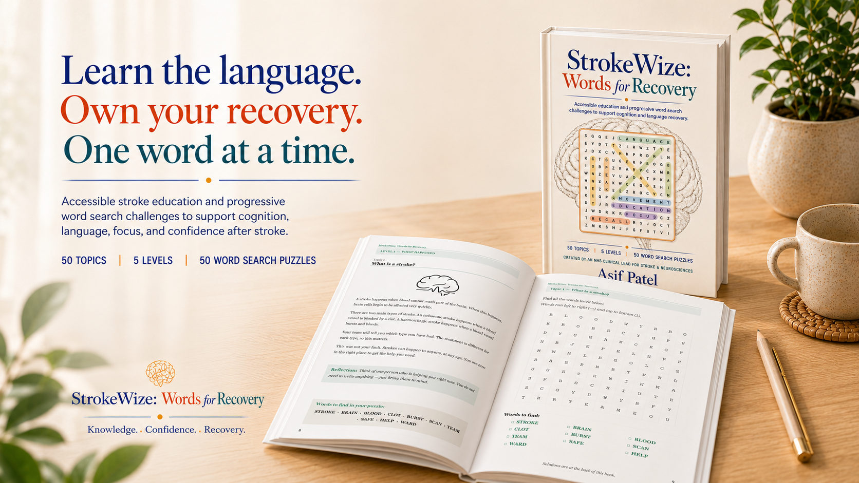 StrokeWize: Words for Recovery workbook